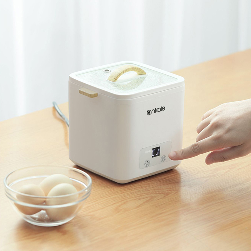 4 Uova Caldaia A Vapore Multi  - Egg Cooker Rapid recensione e prezzo